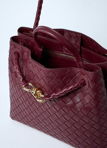 Bottega Veneta Medium Andiamo Handbag Burgundy bov0260013