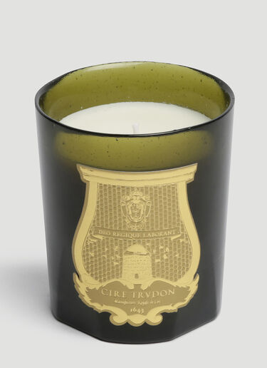 LN-CC® - Trudon: Odalisque Candle - Green Trudon Odalisque Candle Green wps0644243