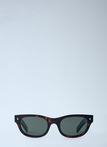 Prada 0PR C09S Sunglasses Brown lpr0364001