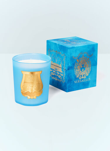 Trudon Versailles Large Candle Blue wps0691645
