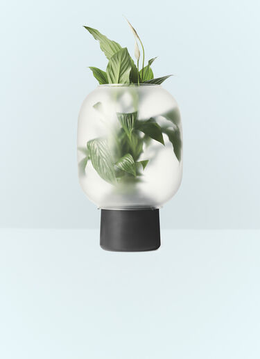 Gejst Nebi Flowerpot Black wps0691334