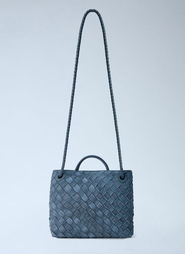 Bottega Veneta Small Andiamo Handbag Blue bov0264010
