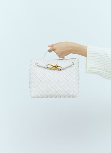 Bottega Veneta Small Andiamo Handbag White bov0255073