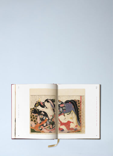 LN-CC® - Taschen: Hokusai Shunga Book - Multicolour Taschen Hokusai Shunga Book Multicolour wps0692312