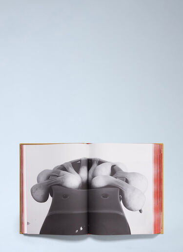 Antenne Books TITTIPUSSIDAD - Sarah Lucas 갈색 ane0564011