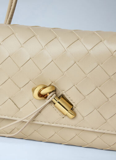 Bottega Veneta Andiamo Pouch on Strap Beige bov0264028