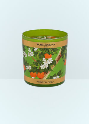 Dolce & Gabbana Casa Sicilian Orange Scented Candle Green wps0691248