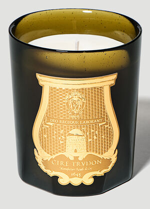 Trudon Gabriel Candle Green wps0642107