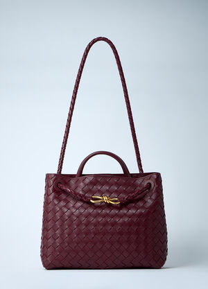 Bottega Veneta Medium Andiamo Handbag Burgundy bov0260013
