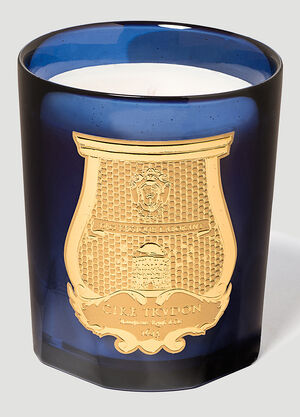 Trudon Estérel candle Blue wps0642112
