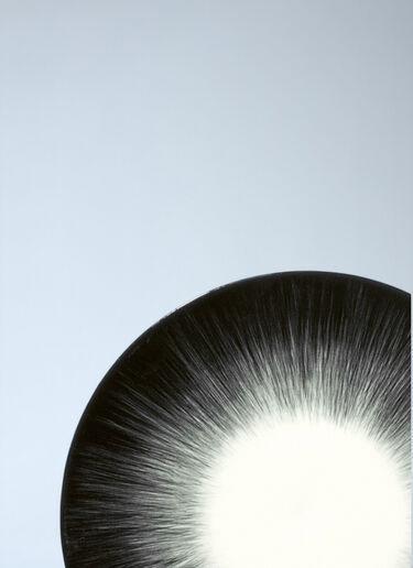 LN-CC® - Serax x Ann Demeulemeester: Set Of Two Dé Breakfast Plates - Black Serax x Ann Demeulemeester Set Of Two Dé Breakfast Plates Black wps0691775