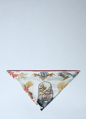 Max Mara Printed Silk Scarf Beige max0264048