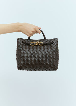 Bottega Veneta Small Andiamo Handbag Brown bov0255070