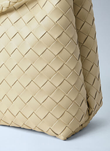 Bottega Veneta Andiamo Medium Handbag Beige bov0263013
