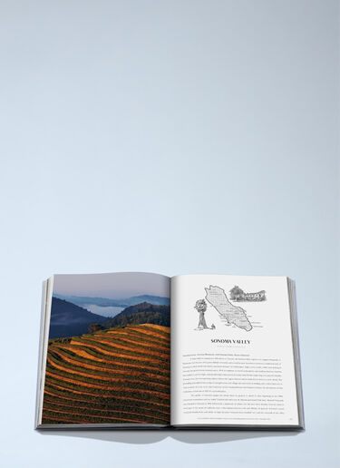 Assouline Wine And Travel: USA Book Blue wps0692451