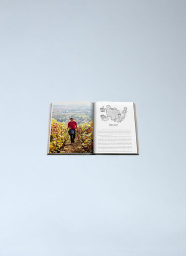 LN-CC® - Assouline: Wine & Travel France - Orange Assouline Wine & Travel France Orange wps0691914