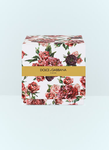 LN-CC® - Dolce & Gabbana Casa: Musk Rose Scented Candle - Pink Dolce & Gabbana Casa Musk Rose Scented Candle Pink wps0691249